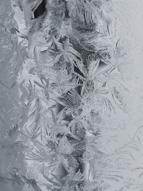 freeze