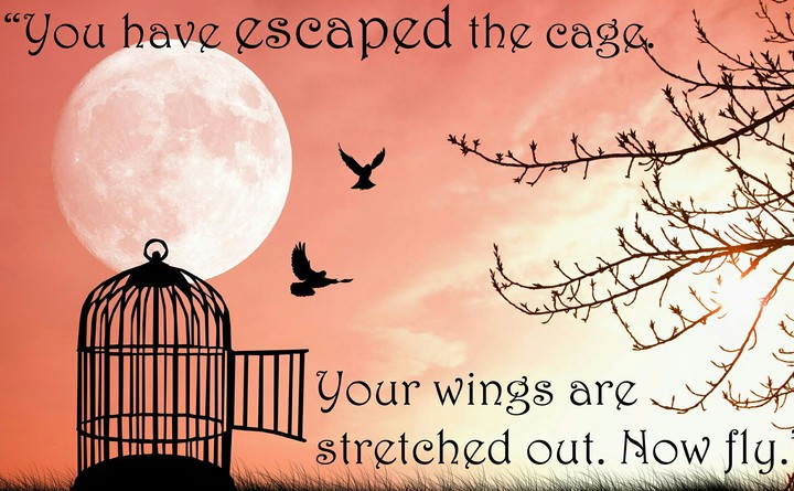 Rumi