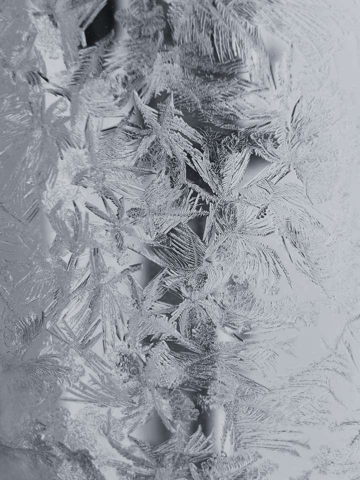 freeze