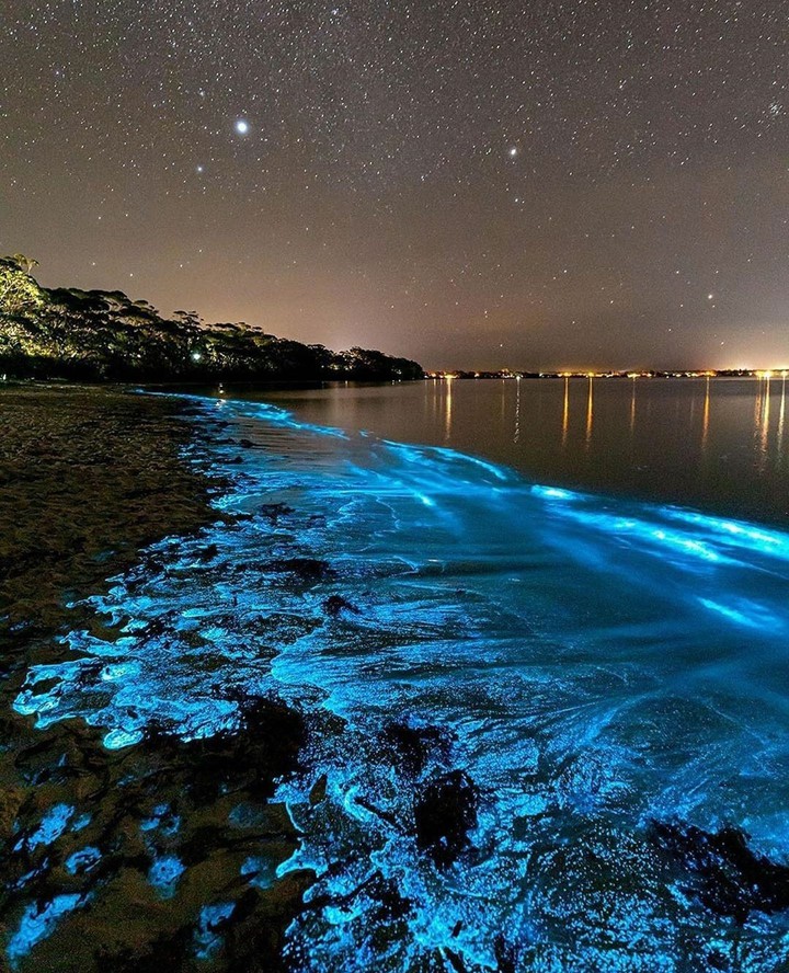 Jervis Bay