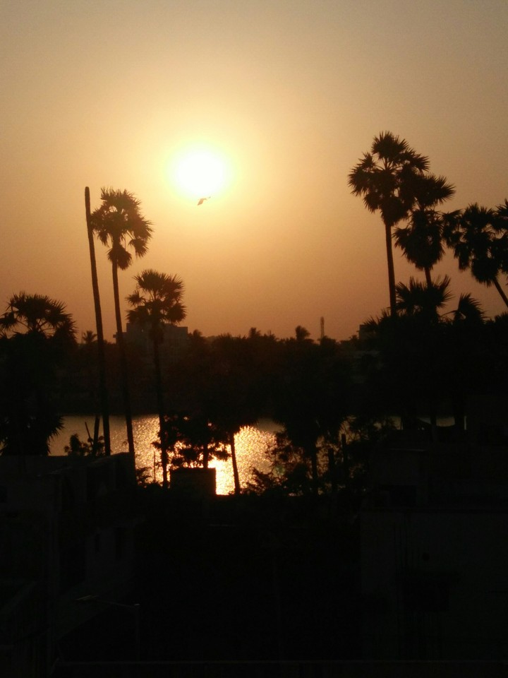 Lakeview