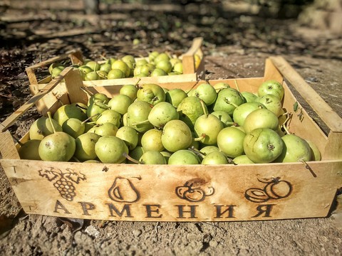 Осенний урожай