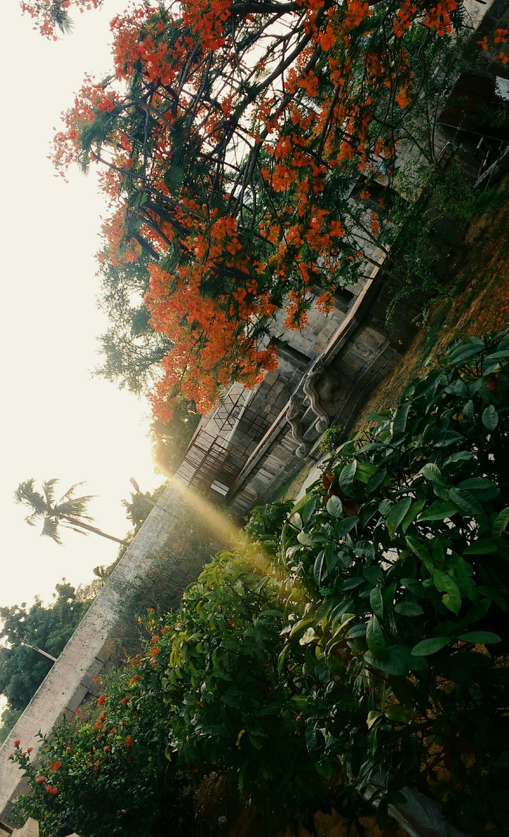 sunset#ray of hope#my click