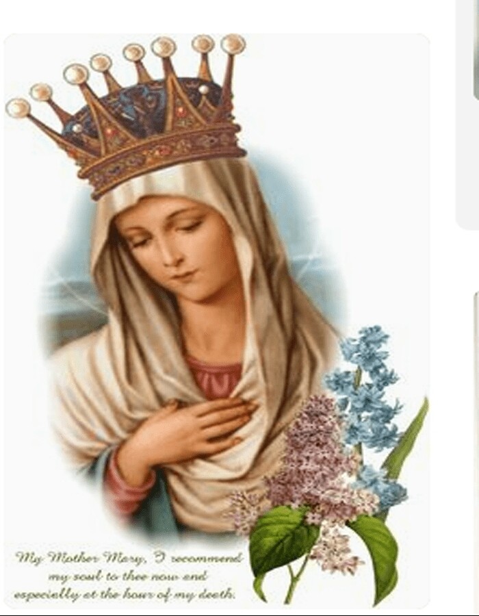 Earl lisa