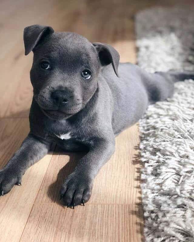 meu bebê