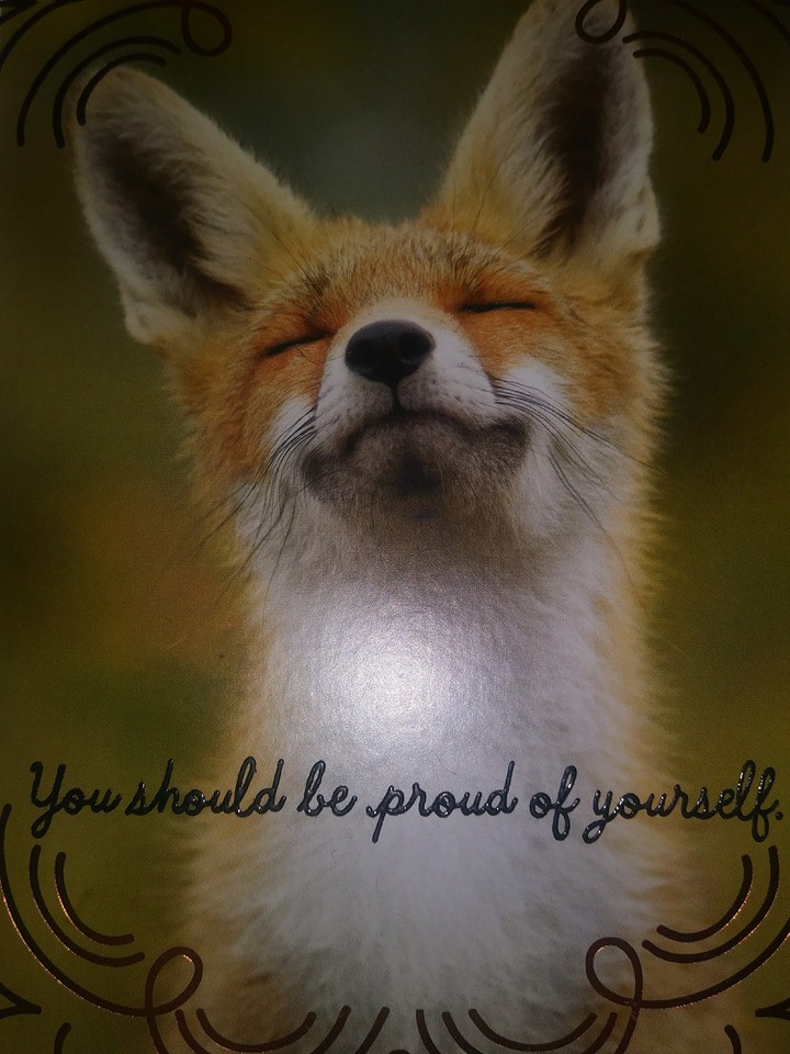 You should be proud of yourself