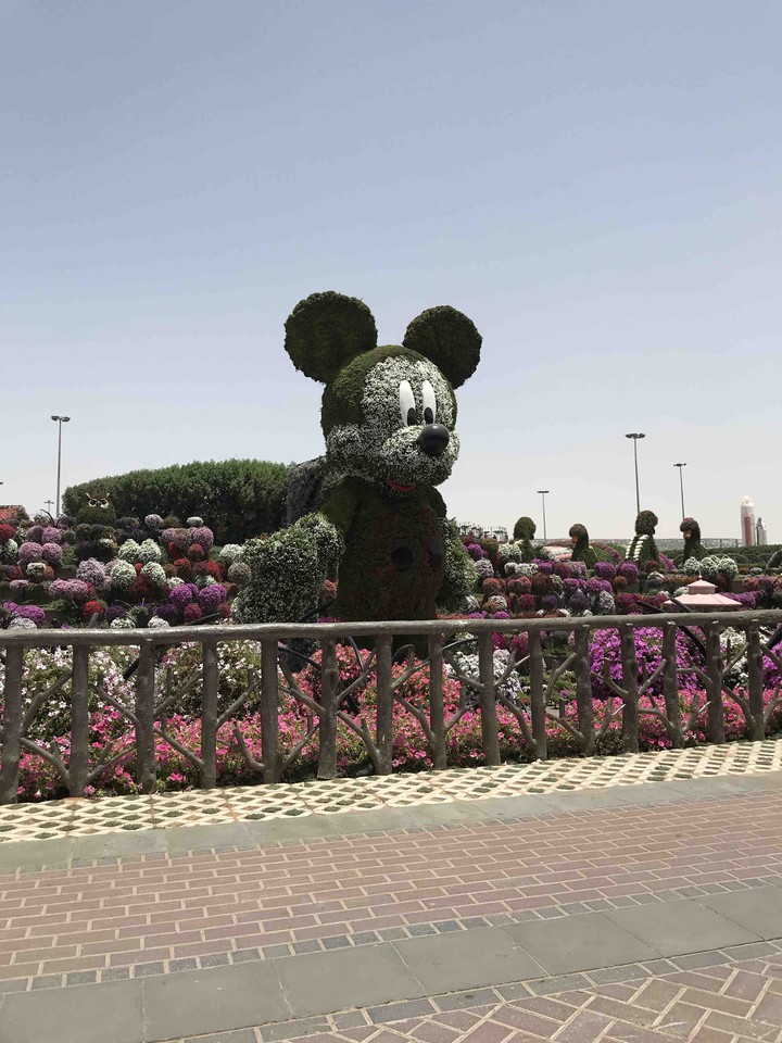 flower Mickey