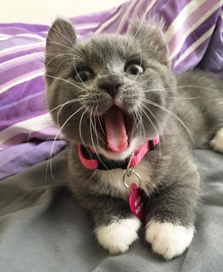 ❤️