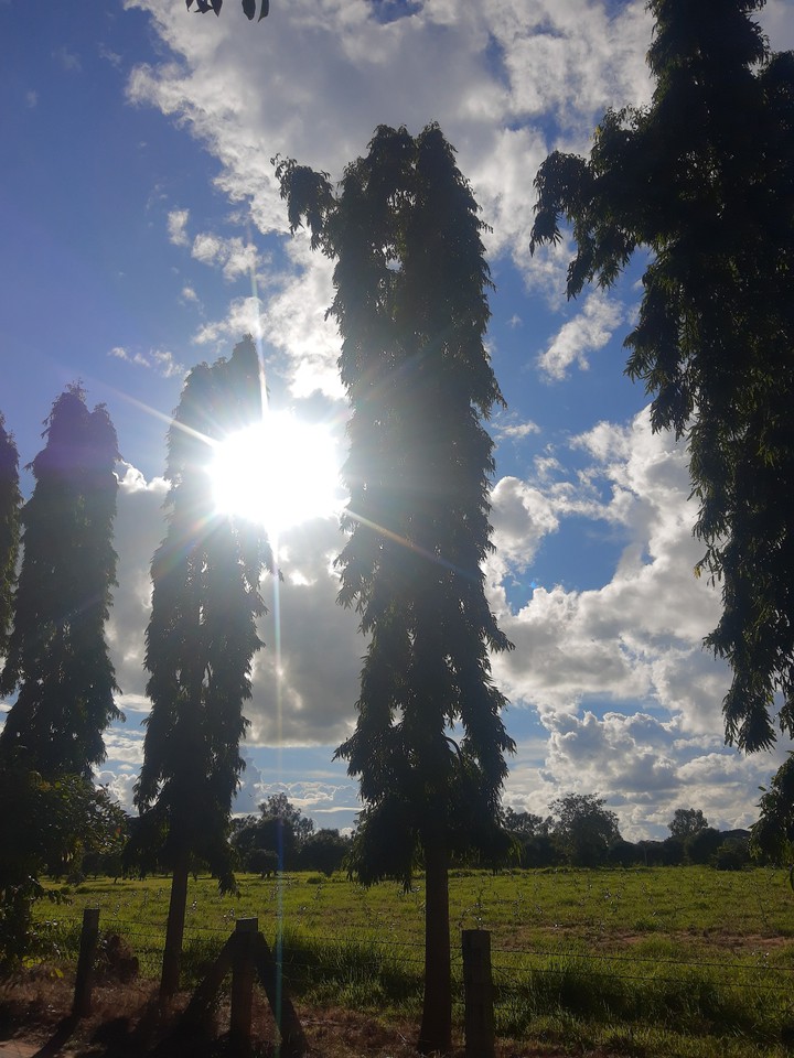 sunshine