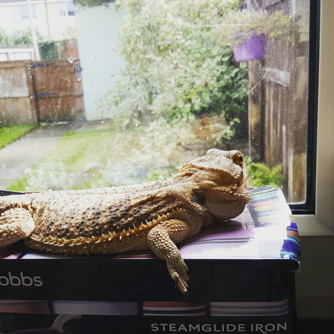 Room With a View