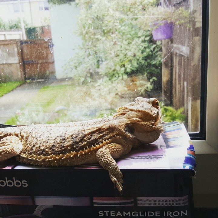 Room With a View