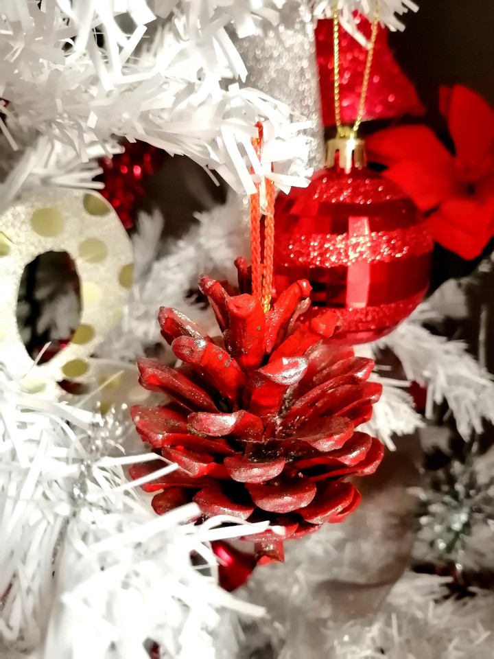 Red pinecone