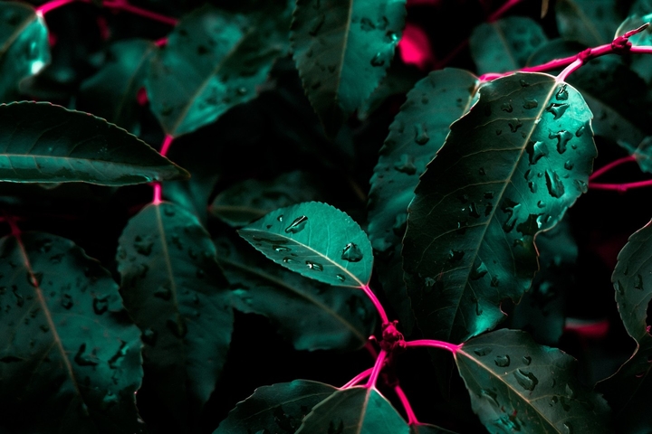 greenish red