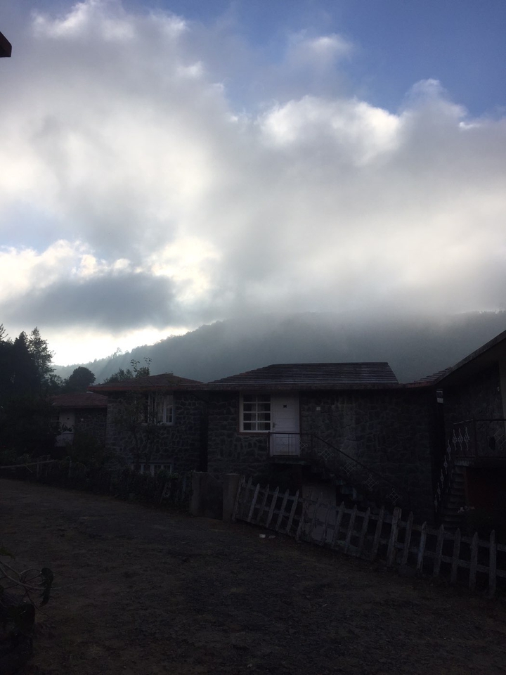 UP IN THE HILLS