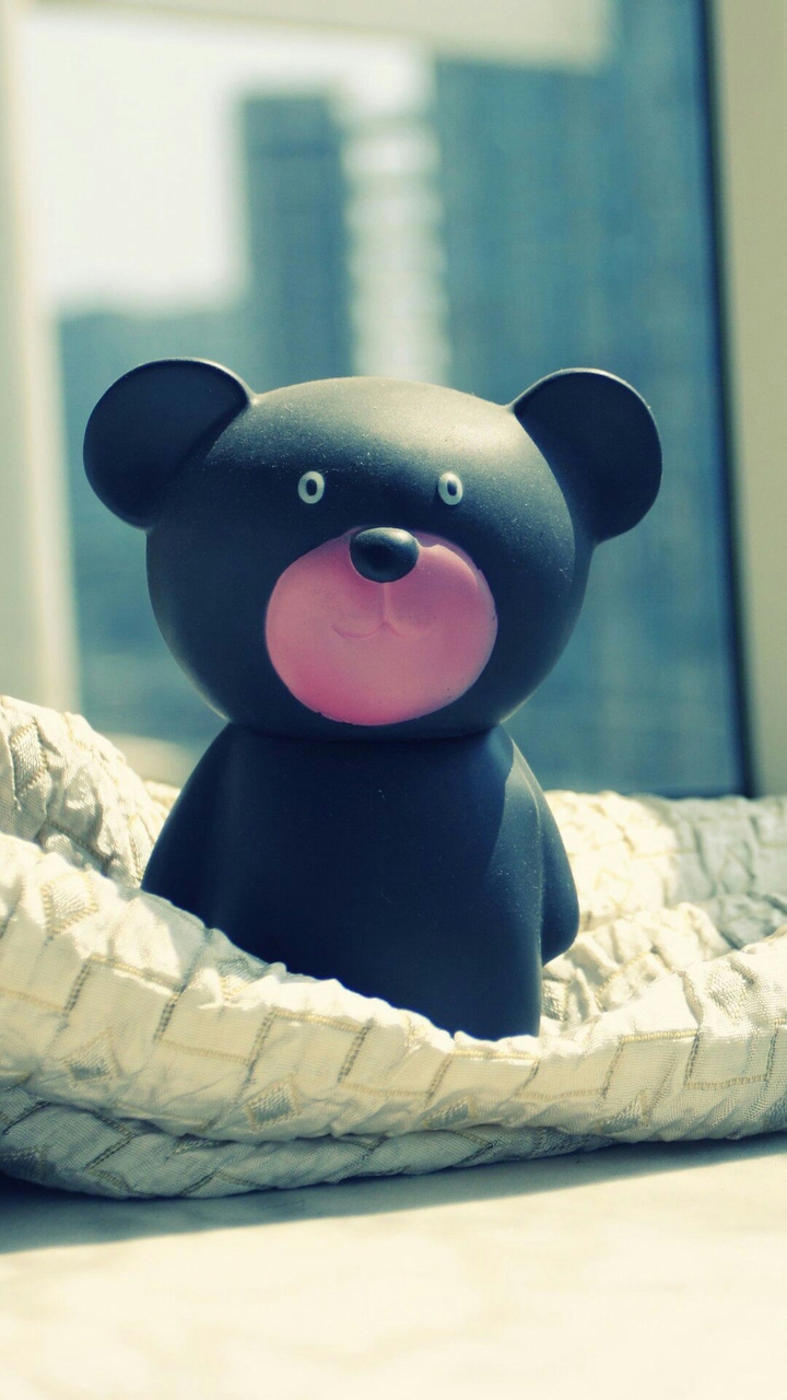 black teddy bear