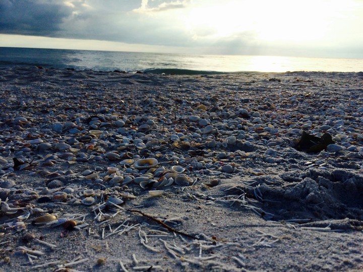Broken seashell land