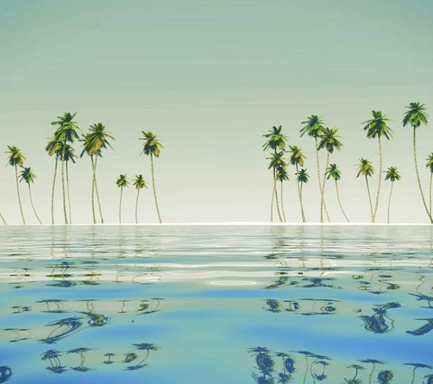 BeAcH..