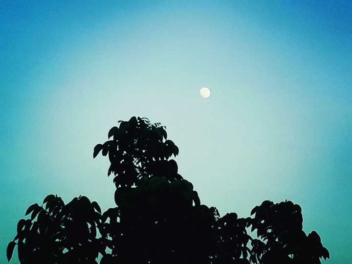 moon