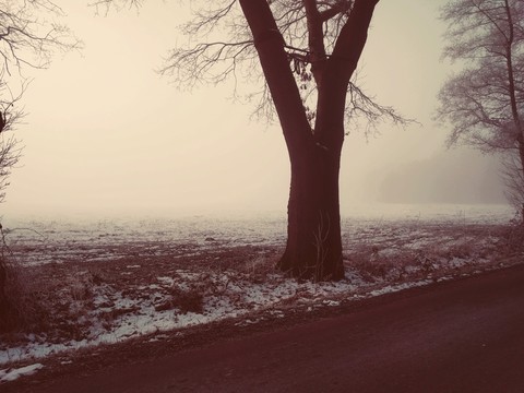 Früher Winter