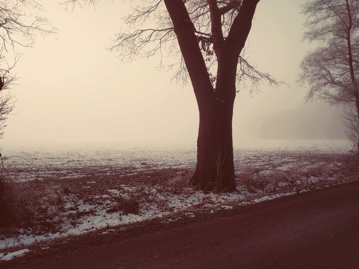 Früher Winter