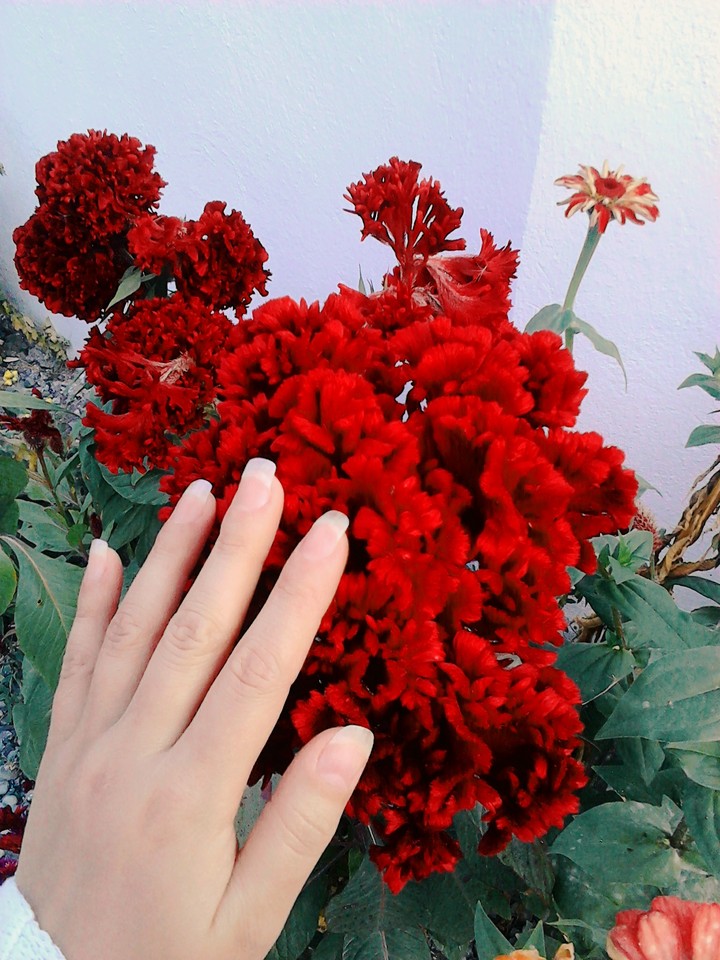beautiful
