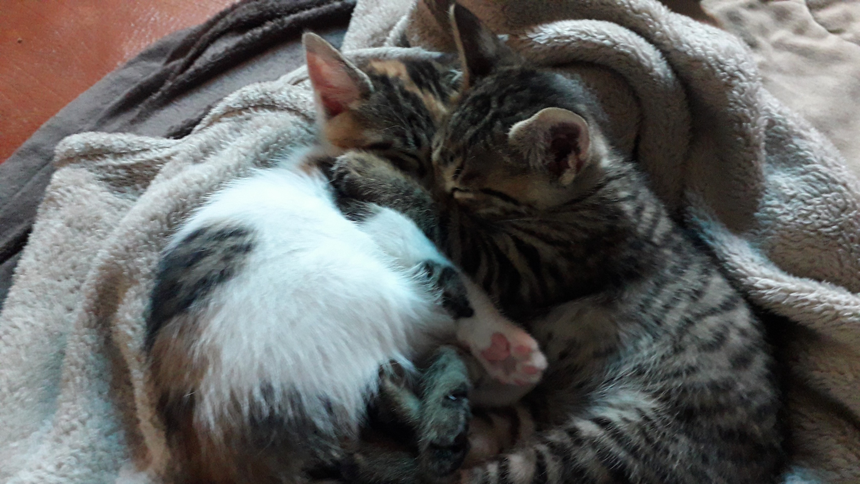 sweet #photo #lover