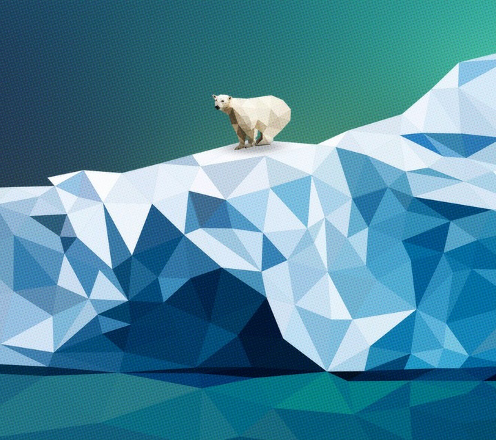Polar bear