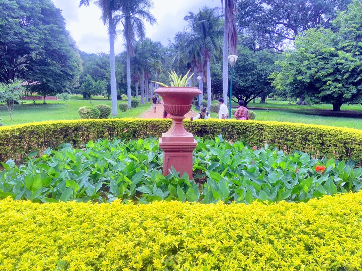 Garden