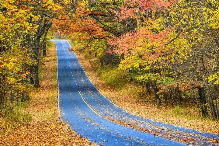 Shenandoah National Park, usa