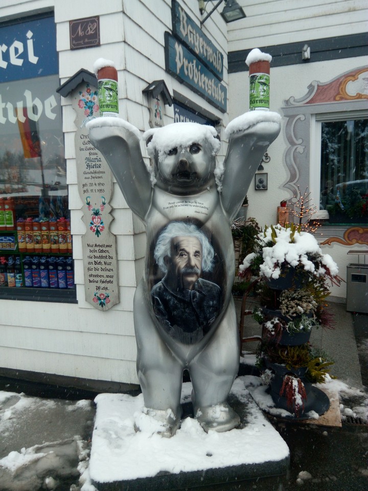 Der weise Bär