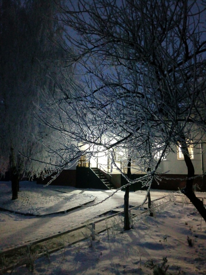 winter