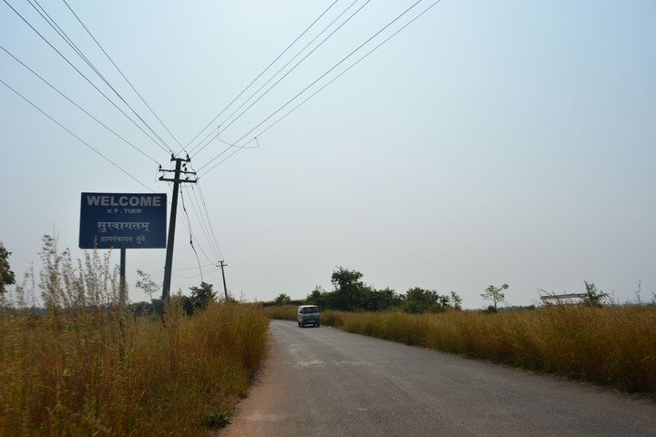 grassy road side