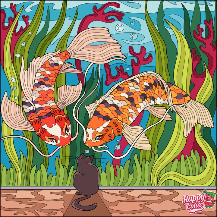Peixe