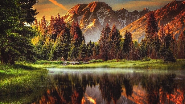 Serenity