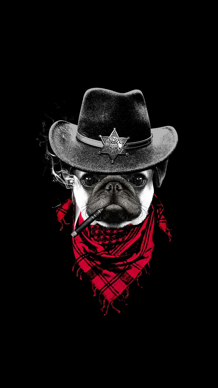 the dog