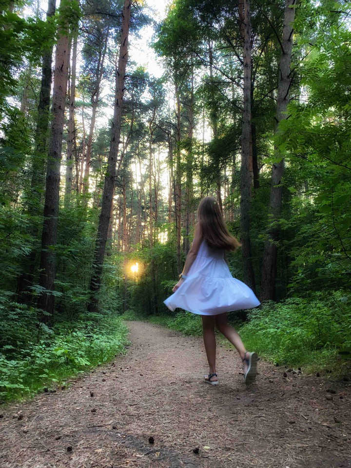 Silence in forest