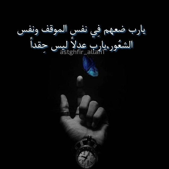 #رحيق_الورد