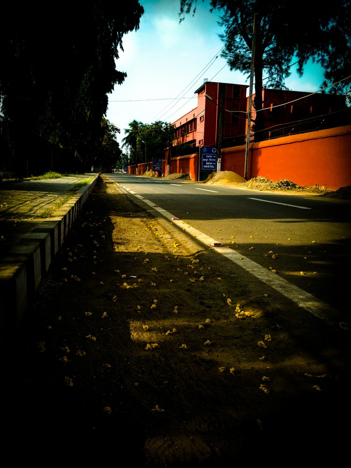 Shadow