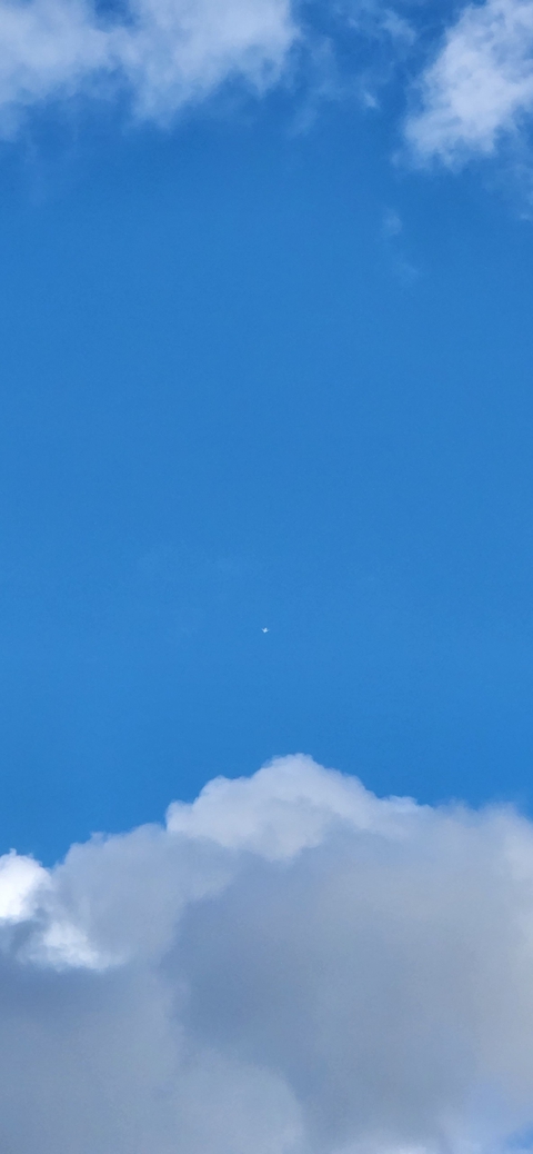 sky, wing wallpapers
