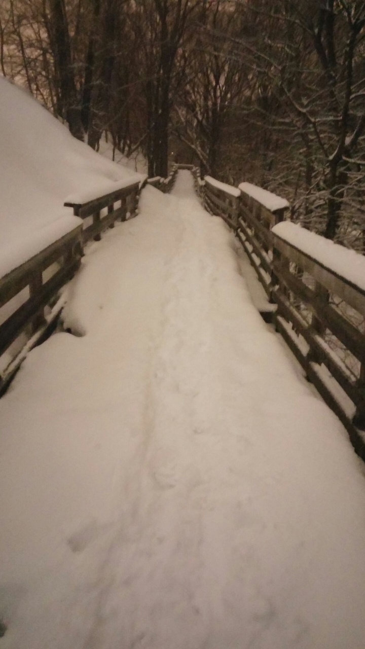 camino de nieves.