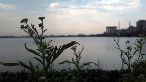 Waterside