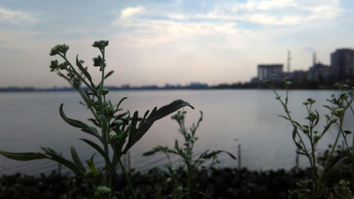 Waterside