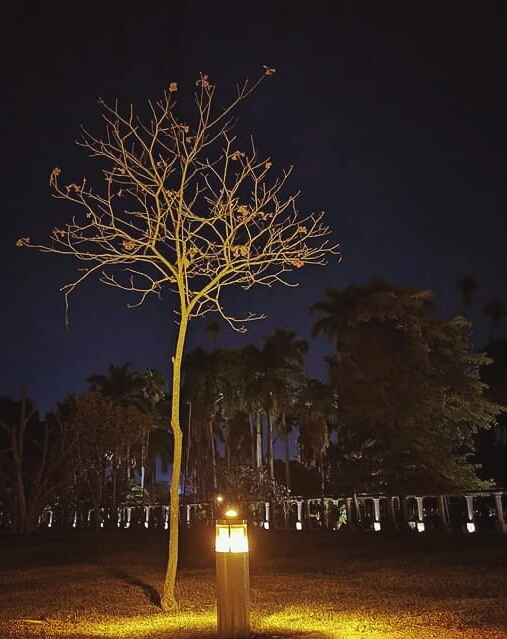 beautiful light