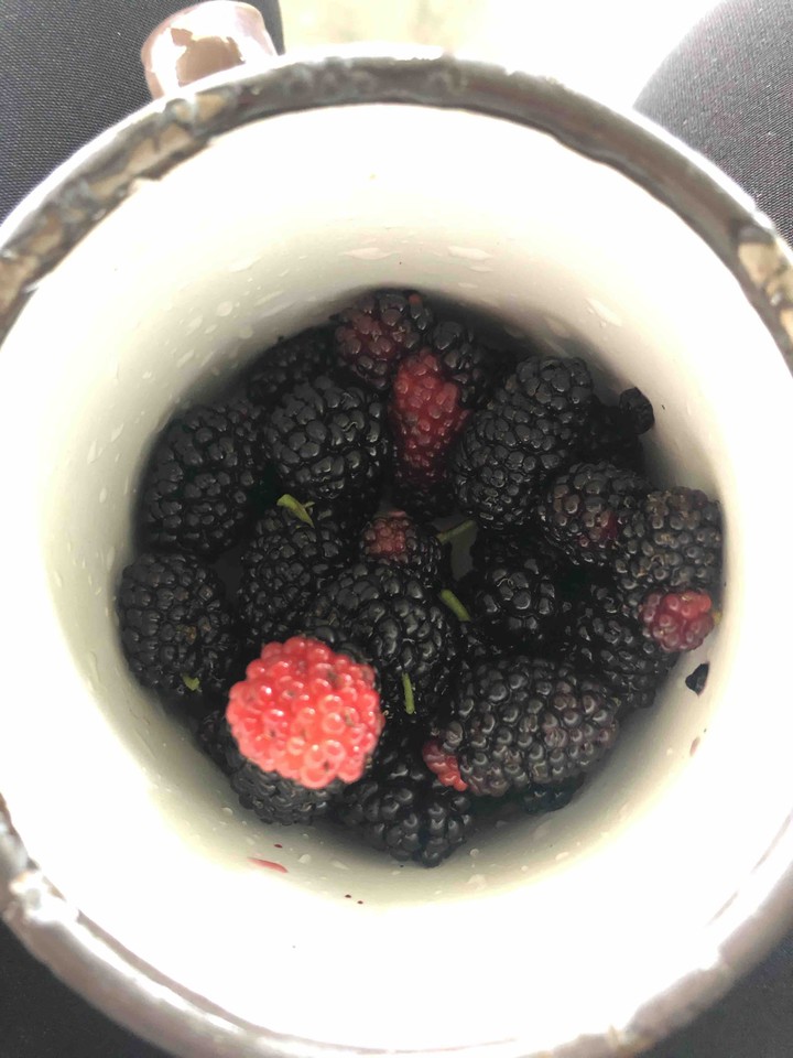 Moras.