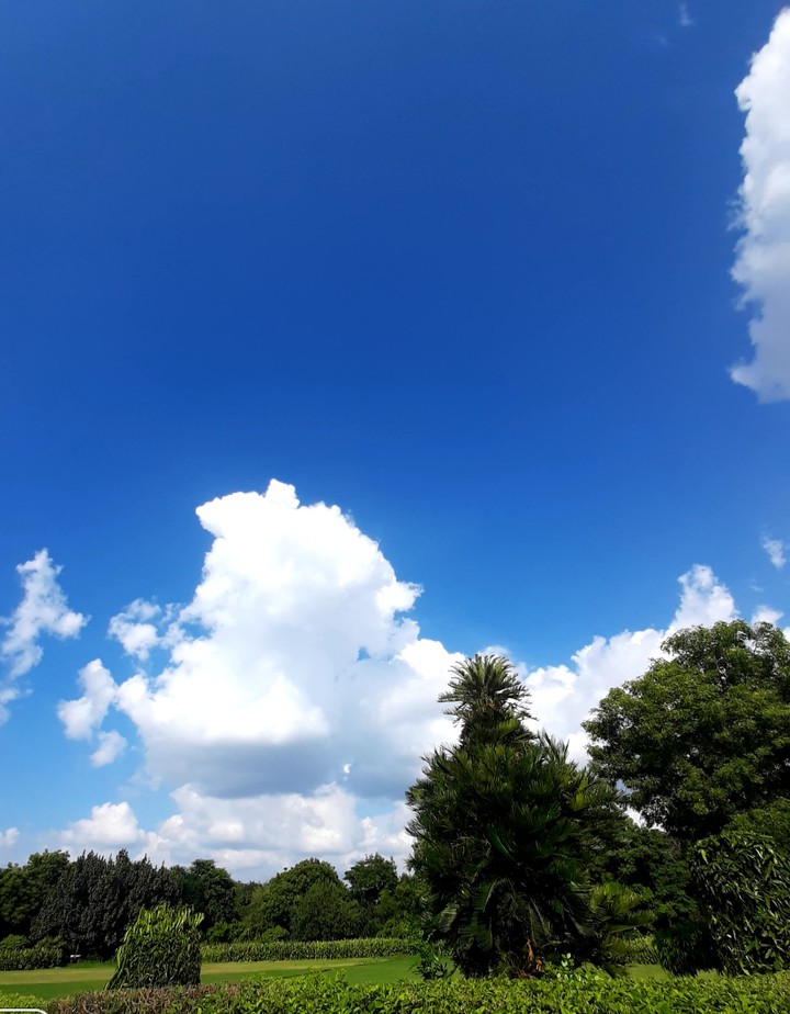 Fluffy Clouds