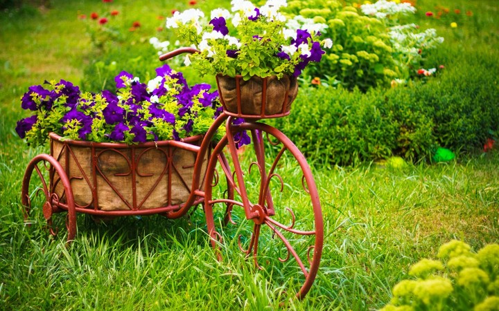 Aroma Of Purple Flowers