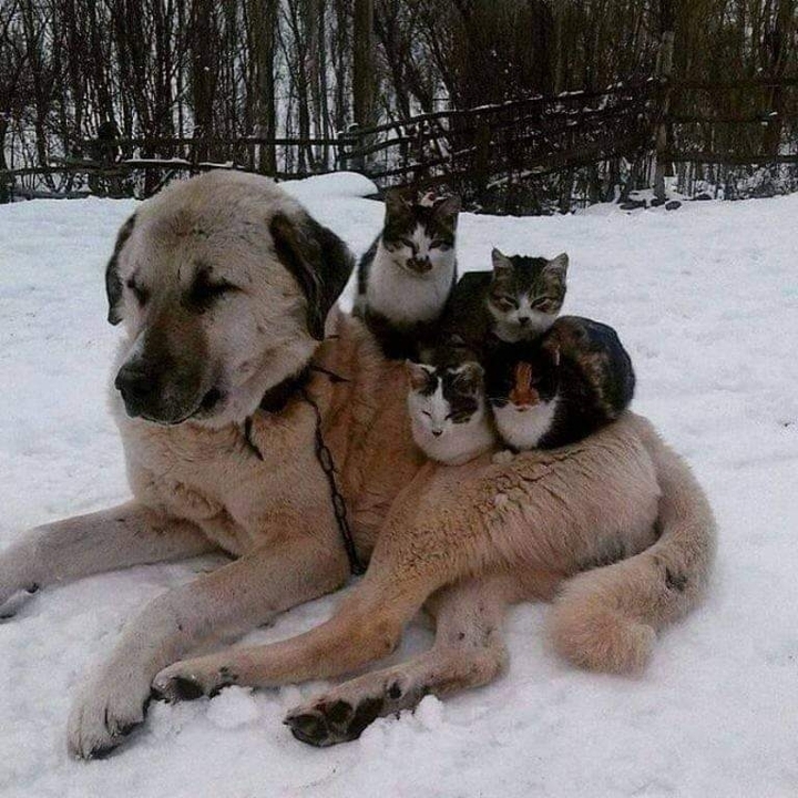 *