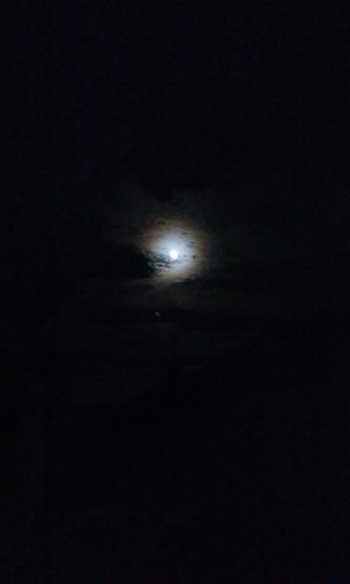 Moon