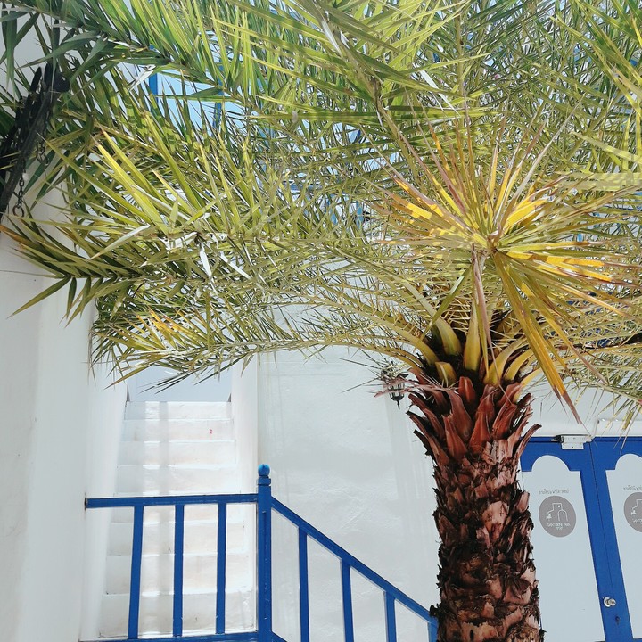 Santorini Cha-am, Thailand