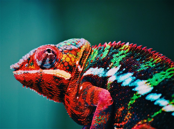 Color